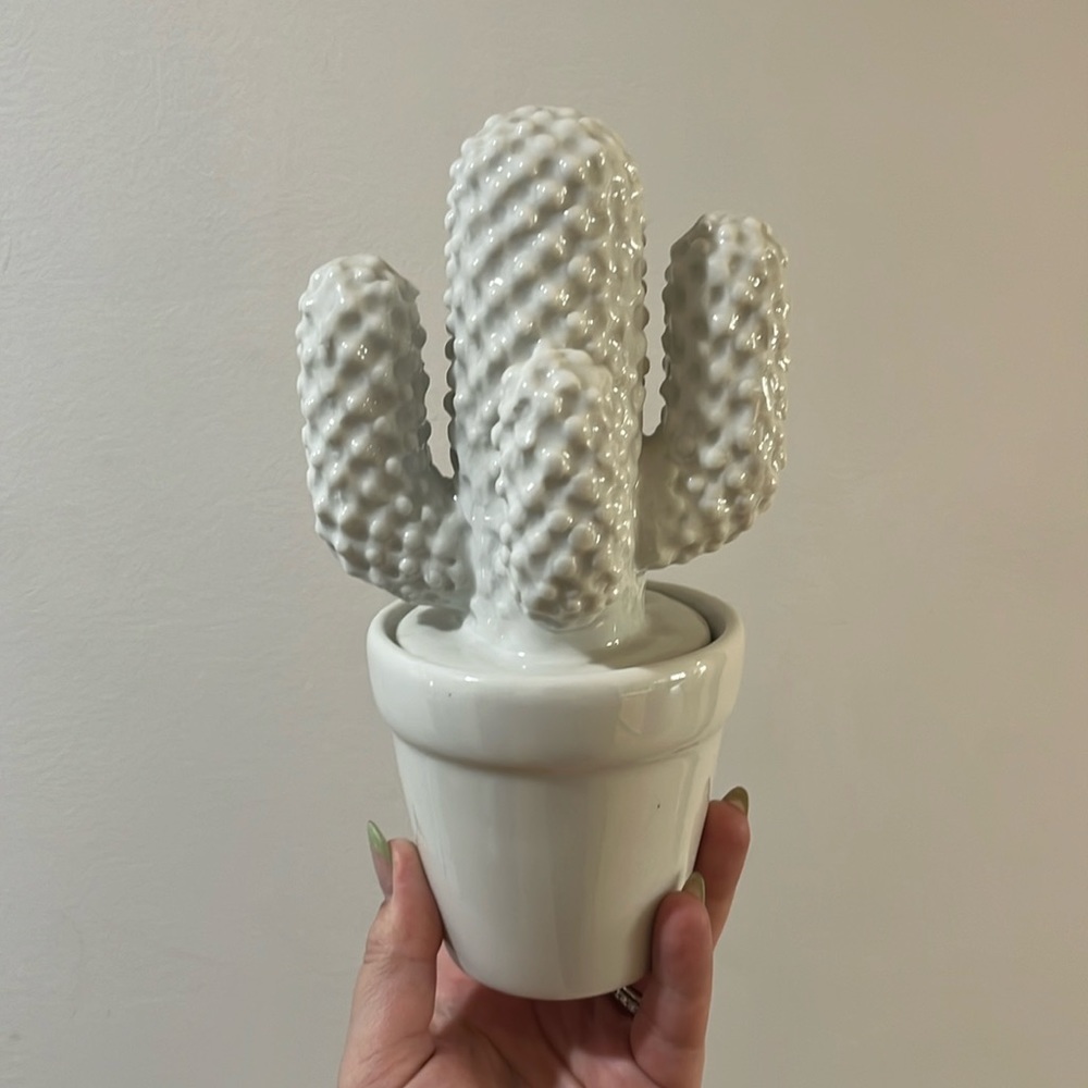 CLEARANCE White Ceramic Cactus Home Decor